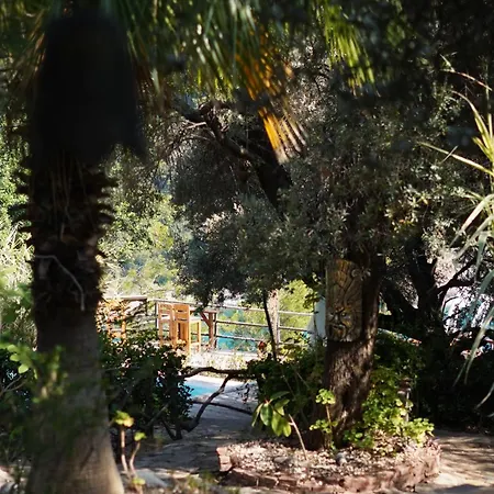 11-11shambala * Fethiye